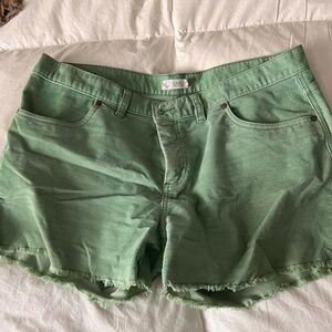 Carve DesignsMint Green Oahu Shorts